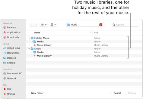 How to Get My Apple Music Library Back: A Journey Through Data Recovery